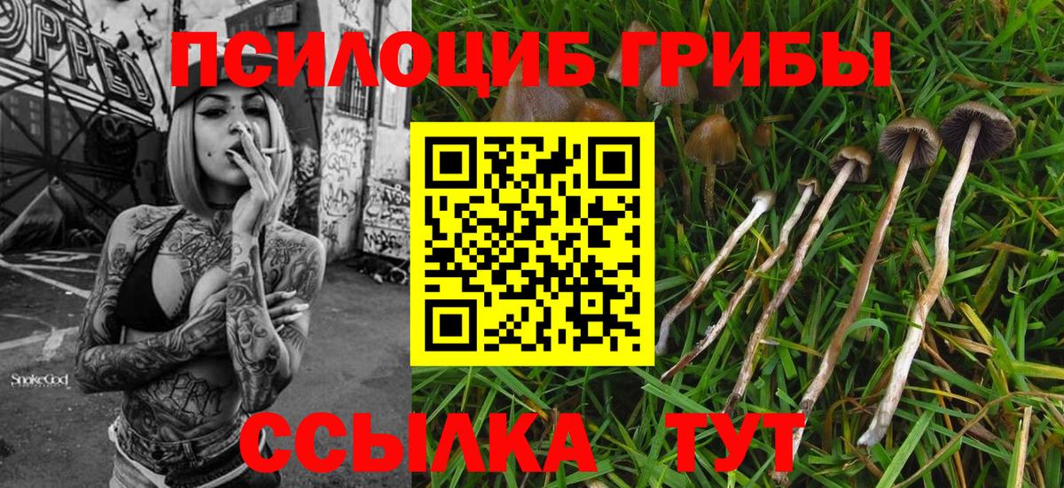 Галлюциногенные грибы GOLDEN TEACHER Знаменск