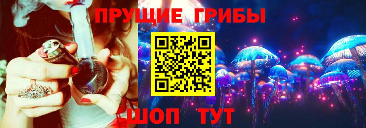 Псилоцибиновые грибы Psilocybe  Вход с VPN  где можно купить   Псилоцибиновые грибы Cubensis  Знаменск 