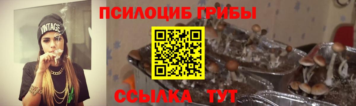 Метадон Знаменск